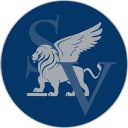 Sinergia Veneto SRL