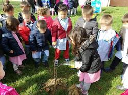 Scuola Primaria Fighille