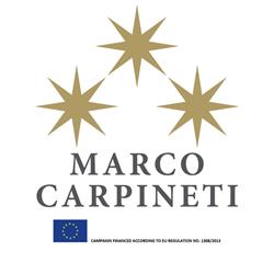 MARCO CARPINETI