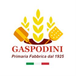 GASPODINI di Gaspodini Andrea
