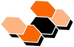 Newsoft Italia srl
