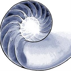STUDIO ADAMAH - Studio di Psicologia e Psicoterapia, Centro Multidisciplinare per l'Età Evolutiva