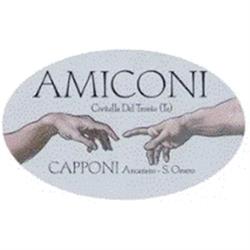 Onoranze Funebri Amiconi & di Luigi