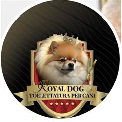 Royal Dog