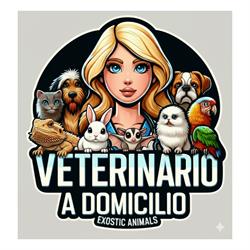 Veterinario a domicilio
