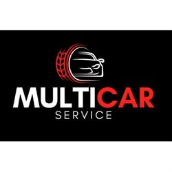 Multicar Service