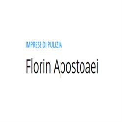 Muratore, bianchino, pulizia,pavimentista