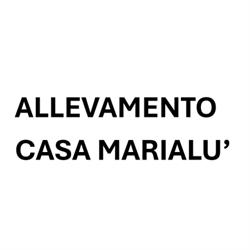 Allevamento Casa Marialù