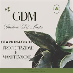 G.D.M. del Mastro Giuliano