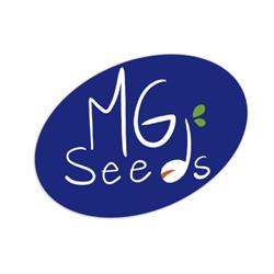 Mg Seeds - Sementi