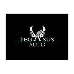 Pegasus Auto Vendita e Noleggio