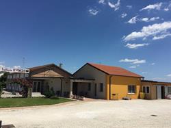 Trattoria Le Venezie