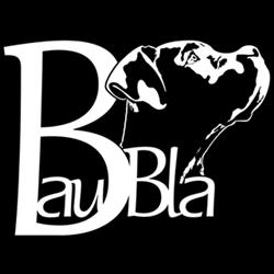 BauBla asd educazione cinofila