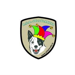 Centro Cinofilo Jollylandia - Educazione e addestramento Cani