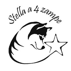 Centro cinofilo Stella a 4 zampe Costabissara (VI)