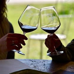 Bolgheri Wine Tours