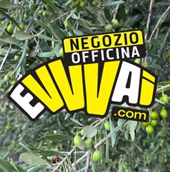 evvvai.com