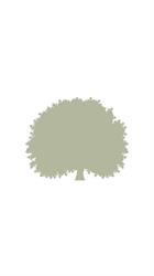 Boccioleto Resort&Spa