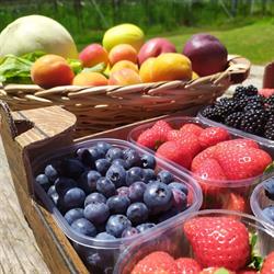 I Sapori del Brenta