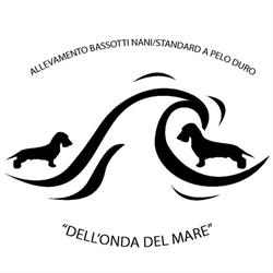 Allevamento Bassotti S/D "dell' Onda del Mare"