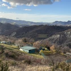 QuattroZampe in Collina Pet Farm~ Allevamento Amstaff~ Pensione per Cani