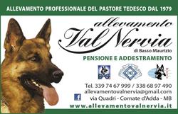 Allevamento Val Nervia - Pastore Tedesco dal 1979