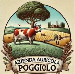 AZIENDA AGRICOLA POGGIOLO