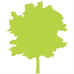 ARBOR srl