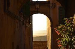 Il Buonumore