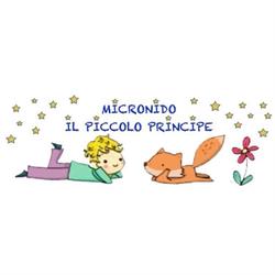 Associazione "Micronido - Il piccolo principe"