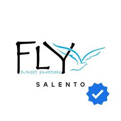 Fly Sunset Emotion