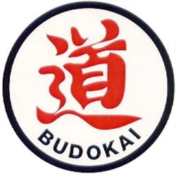 Budokai Ispra - Associazione Polisportiva Arti Marziali