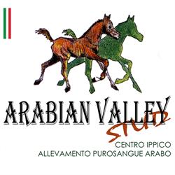 Arabian Valley Stud - Allevamento Puro sangue Arabo - Centro Ippico