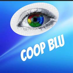 Blu - Societa' Cooperativa Sociale