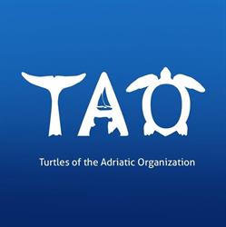 TAO Turtles of the Adriatic Organization
