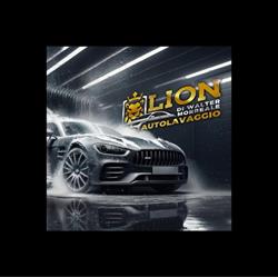 Lion autolavaggio
