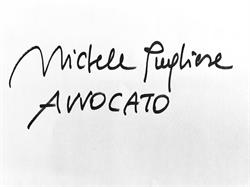 Avv. Pugliese Michele