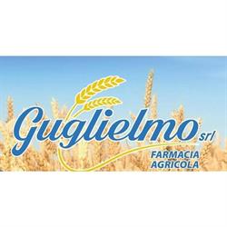 Guglielmo srl