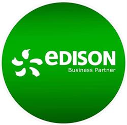 Punto Edison Business Partner