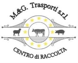 M&G trasporti