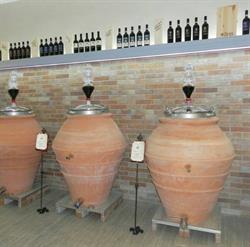 Cantina Palumbo