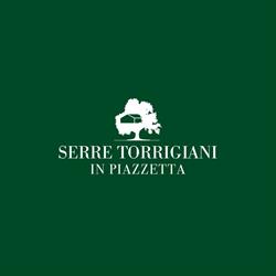 Serre Torrigiani in Piazzetta