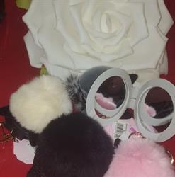 VERONICASHOP (ex Solouneuro)