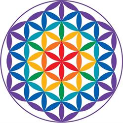 Centro Yoga Il Fiore della Vita