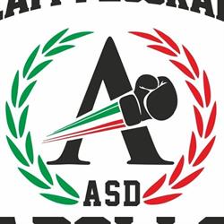 Apollo boxe