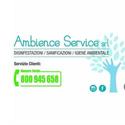 Ambience Service Srl