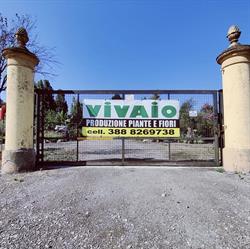 Flormarket