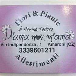 Fiorista M’ama Non M’ama