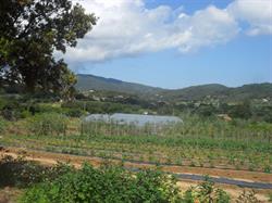 Azienda Agricola "Il Boschetto" Capoliveri