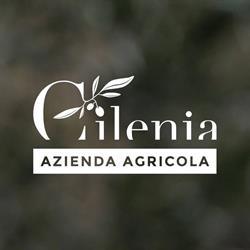 Cilenia Azienda Agricola